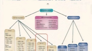 一位肺癌患者的治疗经历丨ALK抑制剂联合PD-1抗体keytruda