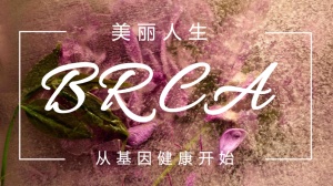 美丽人生从基因健康开始：BRCA与防癌筛查