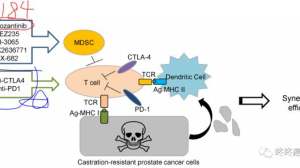 厉害了，卡博替尼：多靶点抗癌，还可以让PD-1“起死回生”