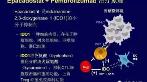 ASCO前瞻！大幅提高PD-1抗体有效率，IDO抑制剂来帮忙