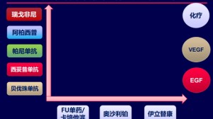 兼顾疗效与安全：谈谈维持治疗