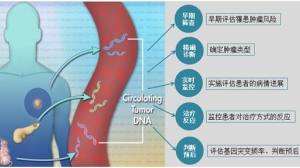 循环肿瘤DNA（ctDNA）：监测肿瘤又一大利器