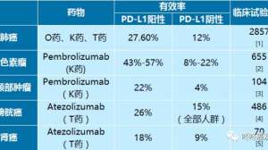 免疫治疗与PD-L1检测：一文详解