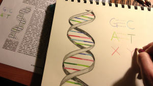对基因检测，你有很多问题（上）？