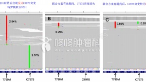 吴一龙：全球首例，一代和三代EGFR TKI联合治疗AZD9291耐药肺癌患者