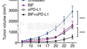 肠道菌群、抗生素与PD1疗效：一文读懂