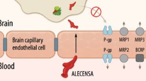 将肿瘤变成慢性病，或许从它开始——Alectinib