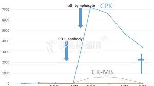 安全第一：PD-1联合治疗可能导致心脏衰竭！