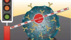 PD1联合治疗的新宠：表观遗传药物