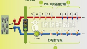 迎接新时代：PD-1联合疗法冲击一线治疗，有效率41.6%