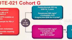 ESMO 2017丨PD-1联合化疗 VS 单独化疗，无进展生存期翻倍！