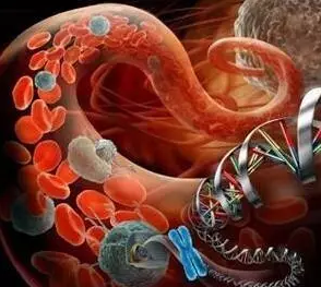 肿瘤细胞转移之道在哪里