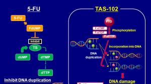 TAS-102：不是一个没有故事的抗癌药