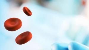 把药“包”进红细胞：eryaspase抗癌有奇谋