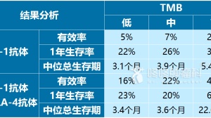 生存期差6倍：这指标预测PD-1疗效神了