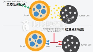 抗癌黑科技：新药完全缓解率超40%