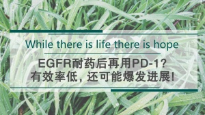 权威总结：EGFR耐药后再用PD-1，有效率低，还可能爆发进展