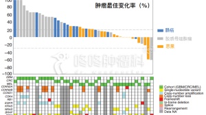 CDK4/6抑制剂：生存期倍增，还增敏PD1