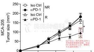 权威发布！PD-1治疗期间使用抗生素，生存期减半！