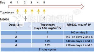 合成致死：新药M6620抗癌控制率52.6%