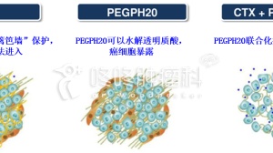 抗癌“推土机”：这个新药突破癌症壁垒，大幅提高生存期