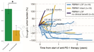 重磅喜讯：PBRM1突变病友，PD1神效