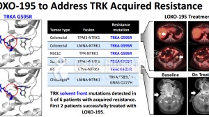 明星抗癌药LOXO-101即将上市，针对17种肿瘤，有效率76%！