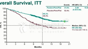 未来已来：PD-1联合疗法同时获美国和欧盟认可，死亡风险降低50%！