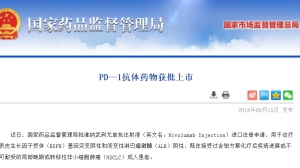 PD-1抑制剂Opdivo在中国获批上市了！