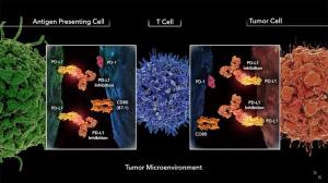 临床更新：PD-L1抑制剂Imfinzi显著延长早期肺癌患者总生存期