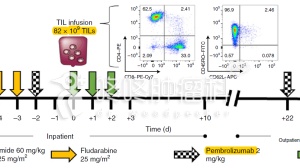 免疫泰斗Rosenberg：三药联合，个性化方案有望彻底攻克癌症！