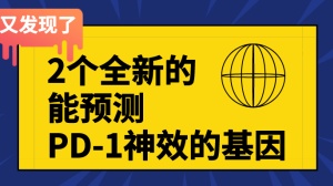 中国学者又发现2个能预测PD-1神效的基因