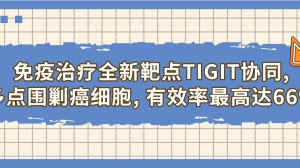 惊艳亮相！免疫治疗全新靶点TIGIT协同，多点围剿癌细胞，有效率最高达66%