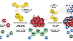 FDA授予STAT3抑制剂TTI-101用于晚期肝细胞癌的快速通道认证