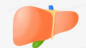 AASLD大会看点：y90联合免疫治疗晚期人群显示益处，ICIs术后辅助疗法遭遇挫折