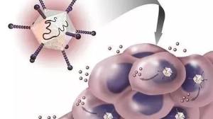 Replimune与罗氏达成合作，开创新型肿瘤靶向溶瘤免疫疗法