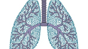 如何大幅降低肺癌术后复发风险？要这样联合用药