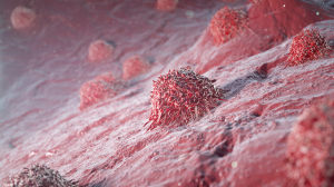 抗癌治疗新概念：癌细胞也可以很「节俭」，全力关注癌细胞增殖