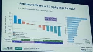 ASCO 2024丨客观缓解率最高达80%！MRG004A突破最强癌王，到底是何方神圣