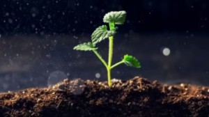 疾病进展风险下降63%! 全球首个实体瘤CAR-T随机对照数据出炉
