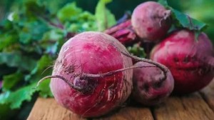吃甜菜=运动？研究发现甜菜碱是运动产生健康益处的关键物质