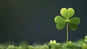 免疫治疗天选之人! 有这个突变, 生存期翻7倍